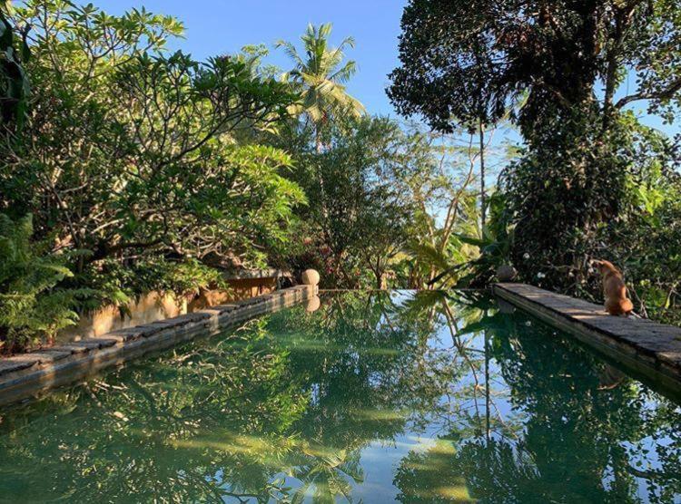 Bed and Breakfast Sri Yoga Shala à Unawatuna Extérieur photo